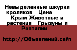 Невыделанные шкурки кроликов › Цена ­ 200 - Крым Животные и растения » Грызуны и Рептилии   